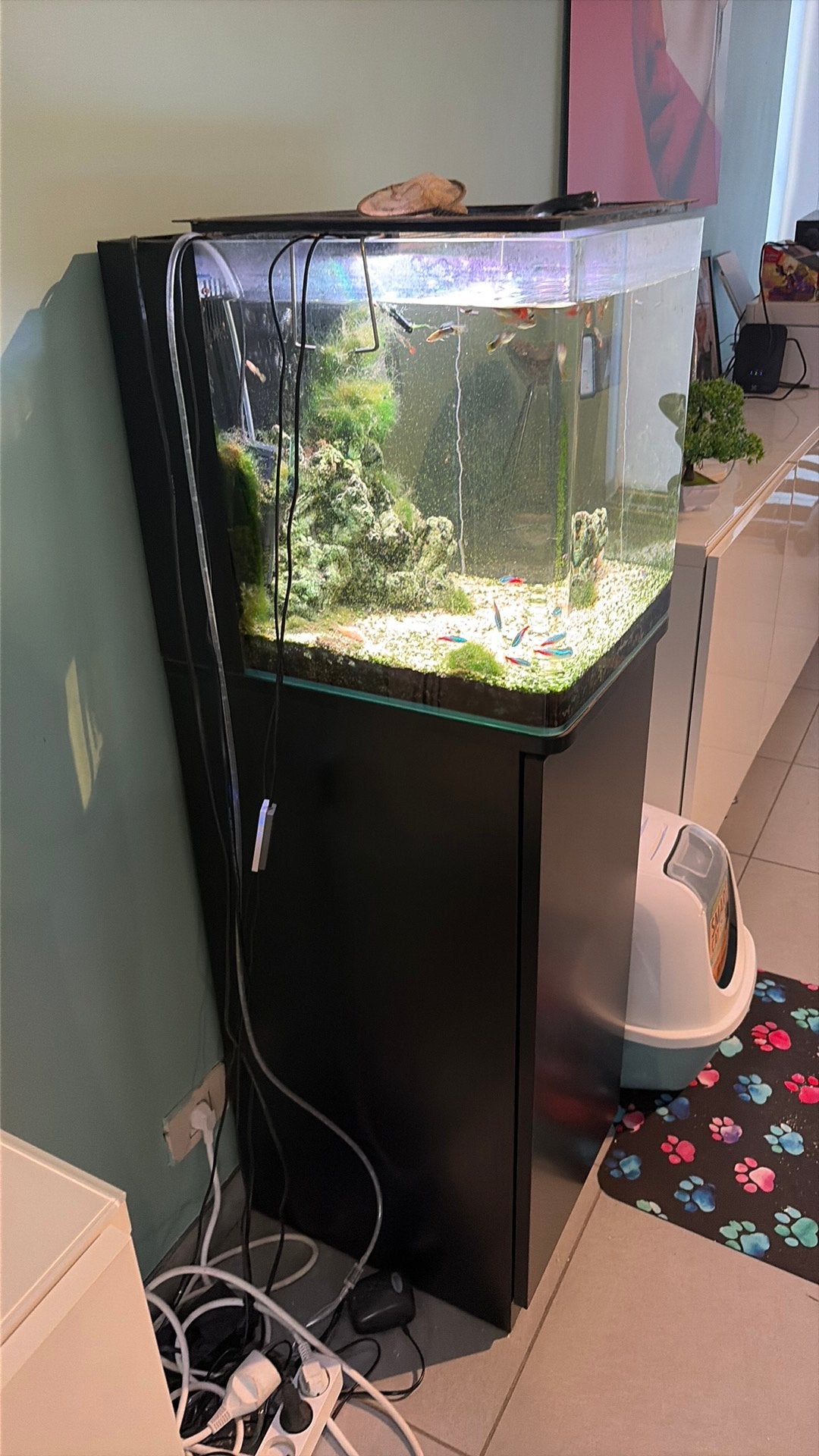 Aquarium complet 40x45x45, Animaux & Accessoires, Enlèvement, Comme neuf