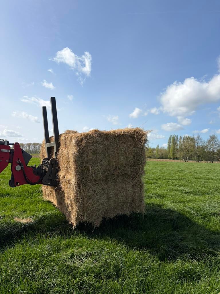 Grote pakken hooi ( thuis geleverd), Dieren en Toebehoren