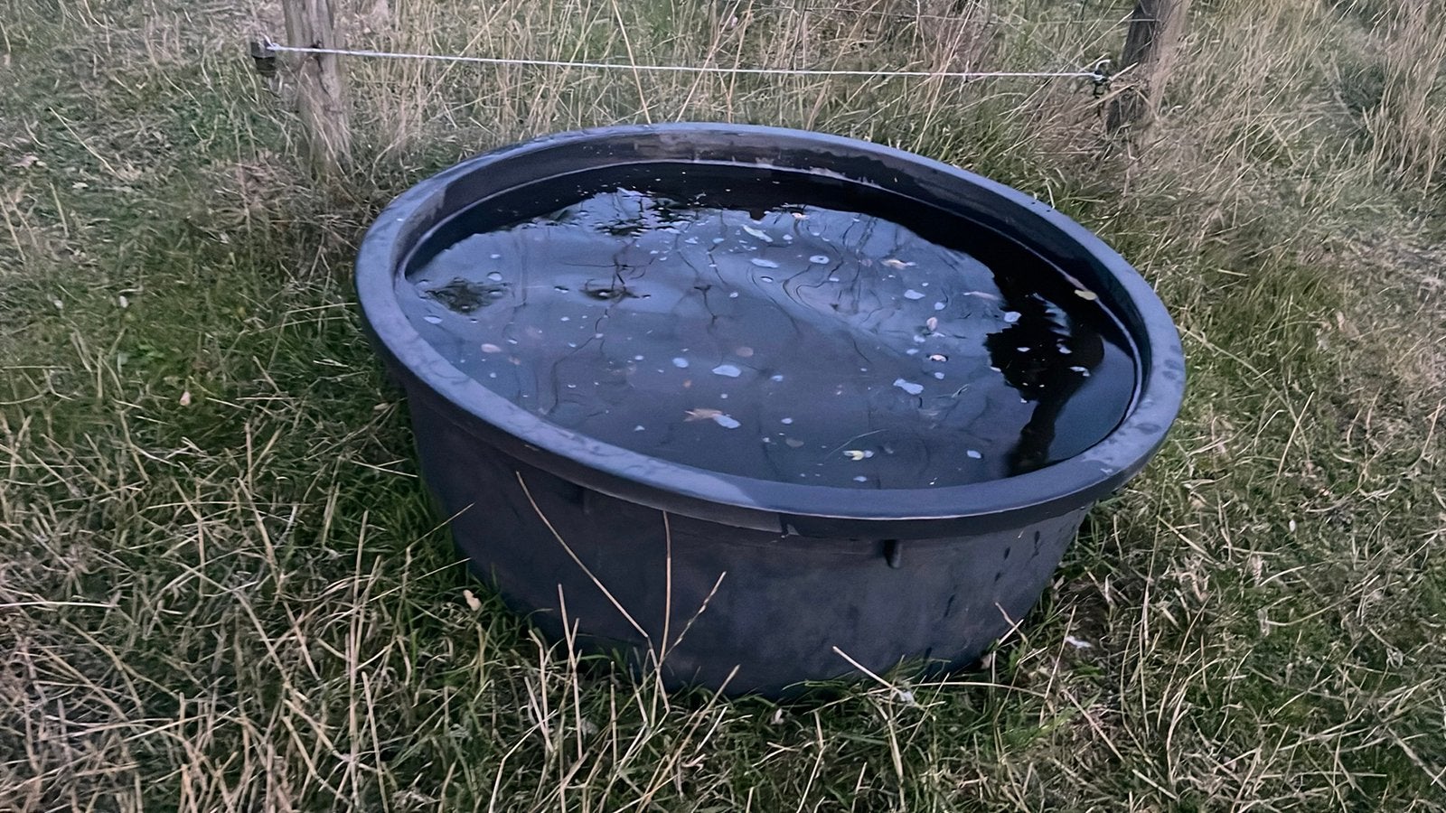 150 liter drinkbak, Dieren en Toebehoren