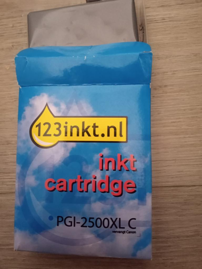 Cartouche d'encre 123 PGI 2500 xl c, Enlèvement ou Envoi, Neuf, Cartridge, 123 inkt