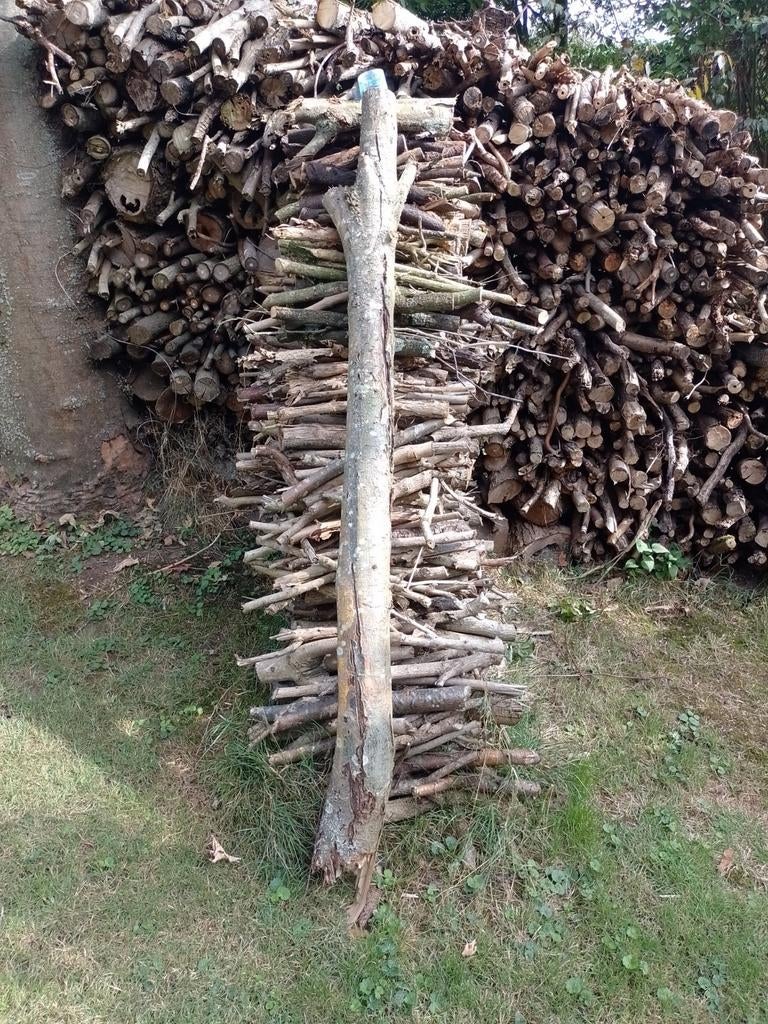 Aanmaak hout, Minder dan 3 m³, Ophalen, Overige houtsoorten, Takken