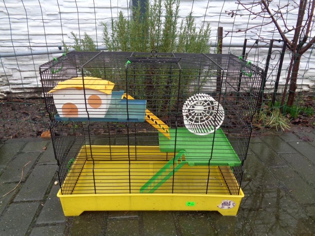 Belle grande cage pour hamster 55 x 28 x 48 cm, Animaux & Accessoires, Moins de 60 cm, Cage, Comme neuf, Écureuil