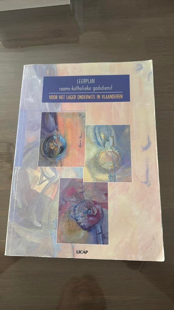 Leerplan roomsKatholieke godsdienst voor het lager onderwijs, Ophalen of Verzenden, Zo goed als nieuw
