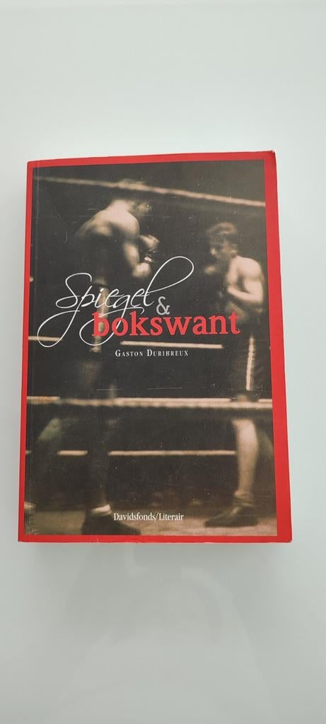 Miroir et gant de boxe, Enlèvement
