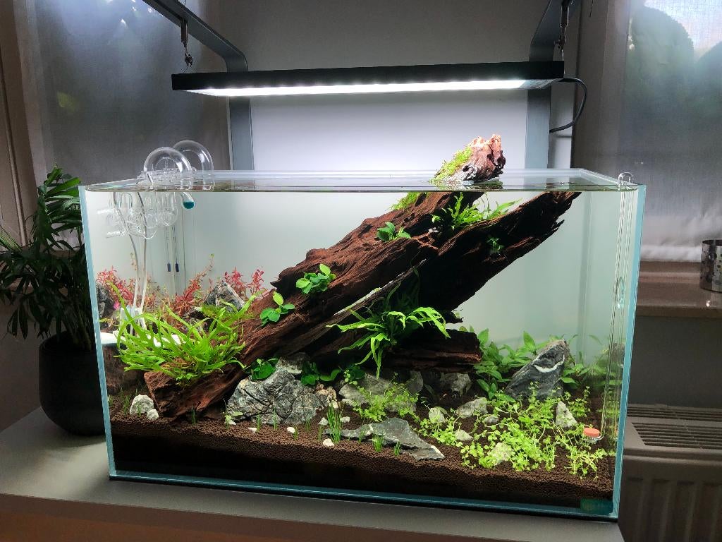 Aquascape aquarium set, Ophalen, Gebruikt