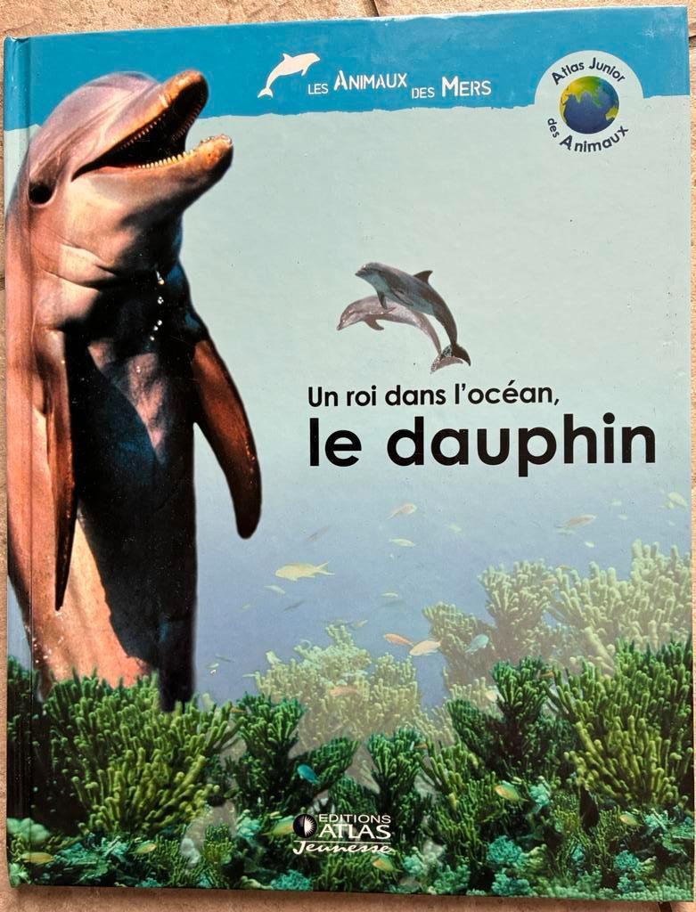 Livre documentaire jeunesse Un roi de l’océan, le dauphin, Neuf, Enlèvement ou Envoi, Non-fiction, Anne Royer