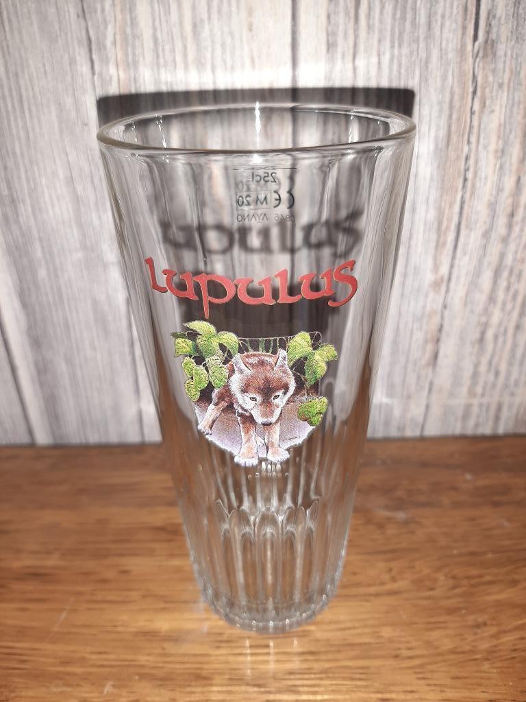 LUPULUSGLAS, Ophalen of Verzenden, Zo goed als nieuw, Glas of Glazen, Overige merken