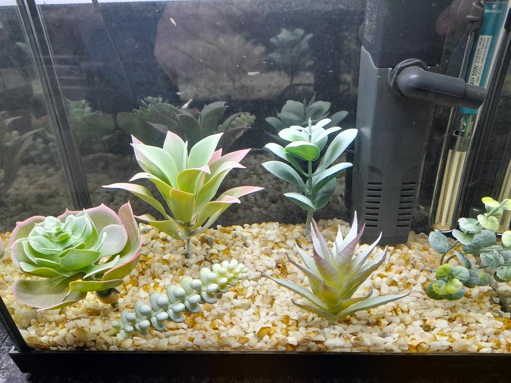 aquarium toebehoren, Ophalen of Verzenden