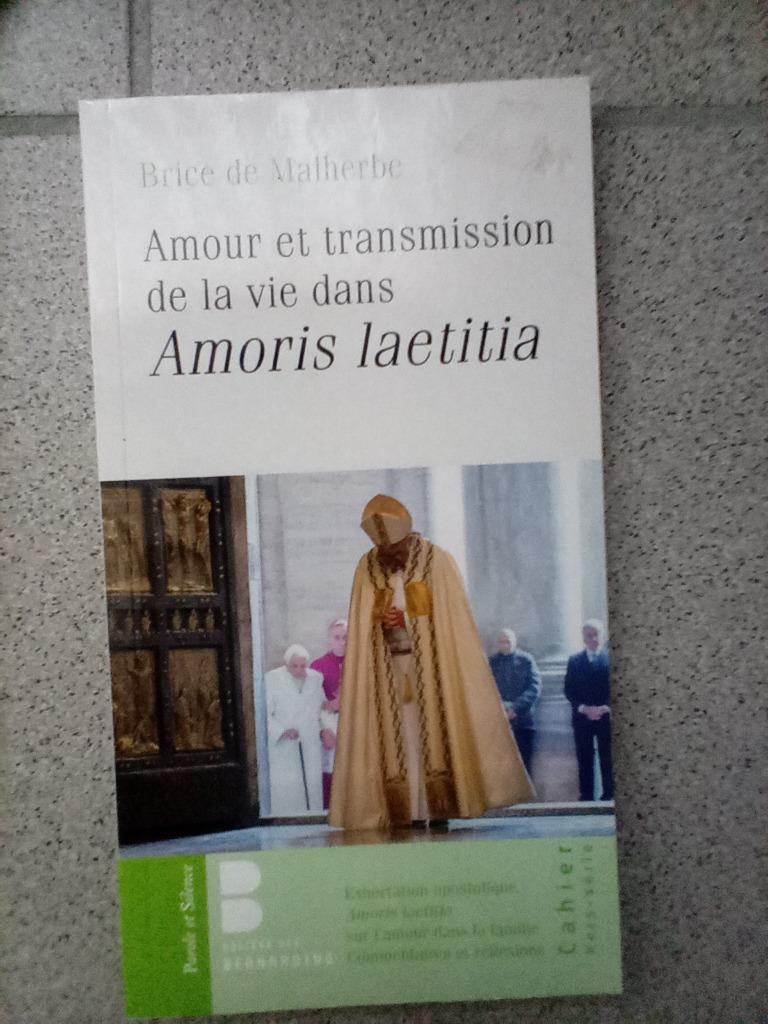 Livre amour et transmission de la vie dans amoris Laeticia, Livres, Religion & Théologie, Enlèvement ou Envoi, Brice de Malherbe