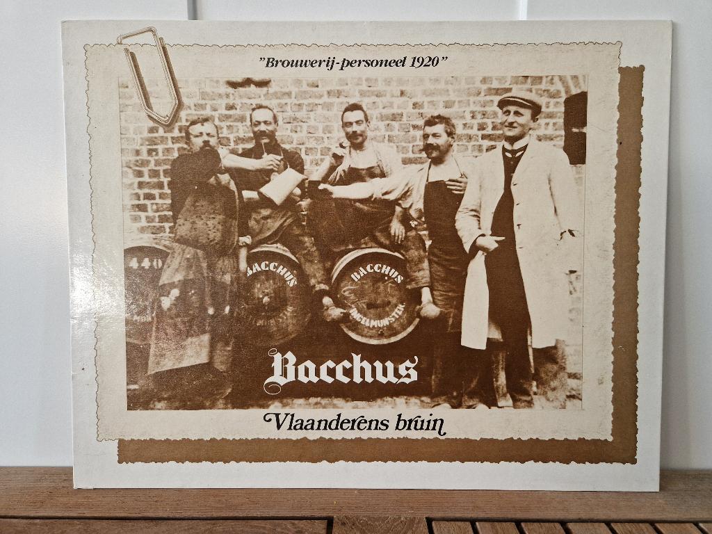 bier reclame bord Bacchus vlaanderens bruin, Enlèvement ou Envoi, Utilisé, Panneau, Plaque ou Plaquette publicitaire, Autres marques