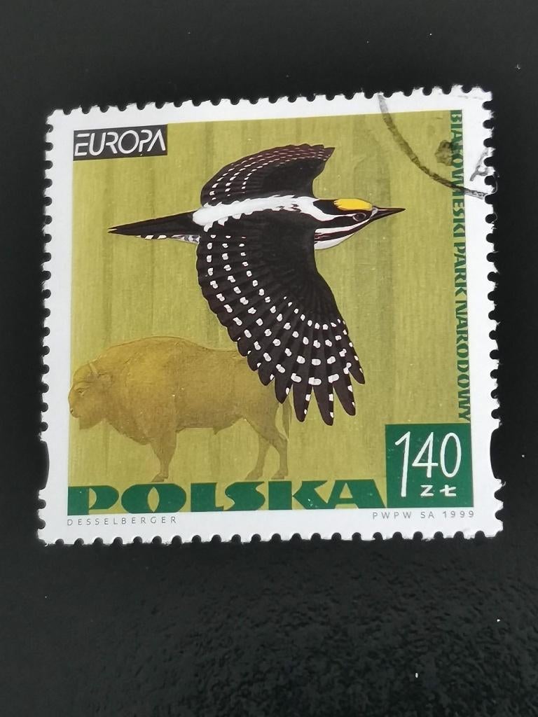 Polen 1999 - vogels, specht, wisent, bison, Ophalen of Verzenden, Polen, Gestempeld