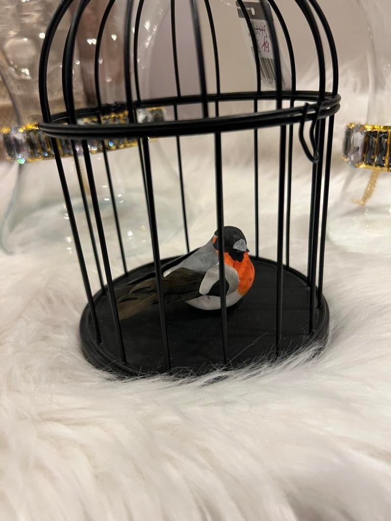 Decoratieve vogelkooi met vogeltje. Nieuw!, Ophalen of Verzenden, Nieuw