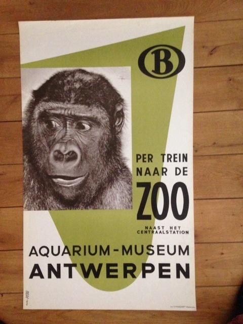 poster zoo, Enlèvement ou Envoi, Rectangulaire vertical, Affiche ou Poster pour porte ou plus grand, Comme neuf