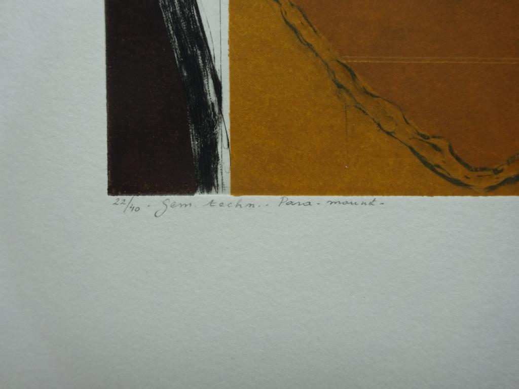 Jan Scheir, kleurets 1996, Het  vel van de beer, kunstmap, Ophalen of Verzenden