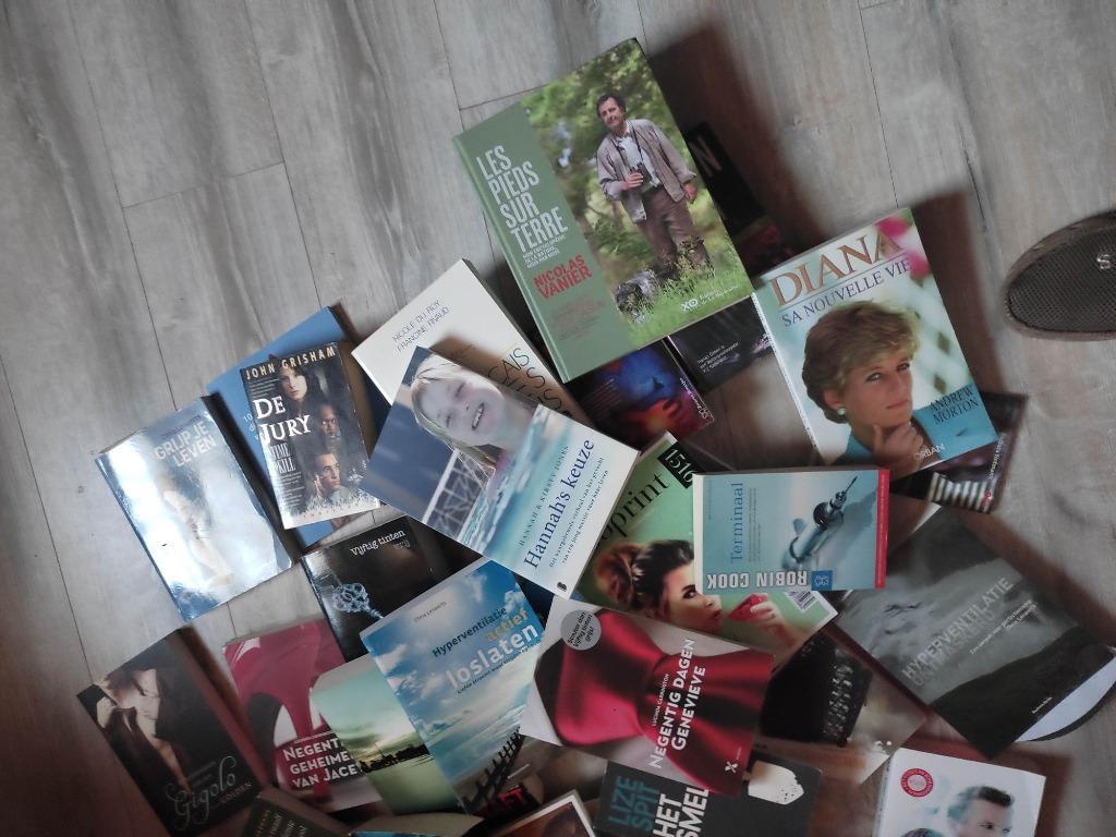 Nederland: de Leesboeken, Boeken, België, Ophalen of Verzenden, Zo goed als nieuw, Divers auteurs