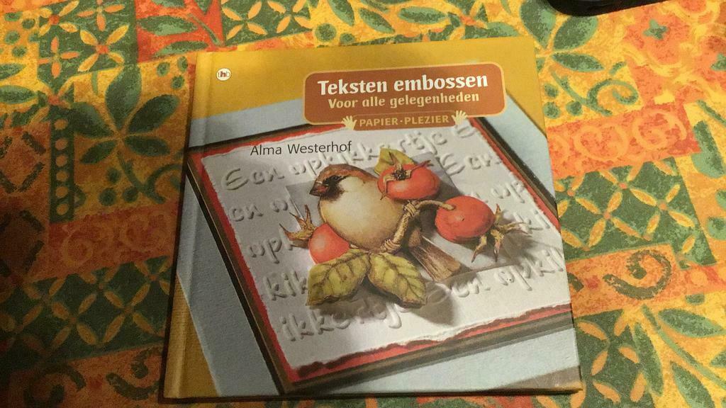 Gaufrage de texte (t), Livres, Loisirs & Temps libre, Enlèvement ou Envoi, Comme neuf, Scrapbooking et Bricolage, Convient aux enfants