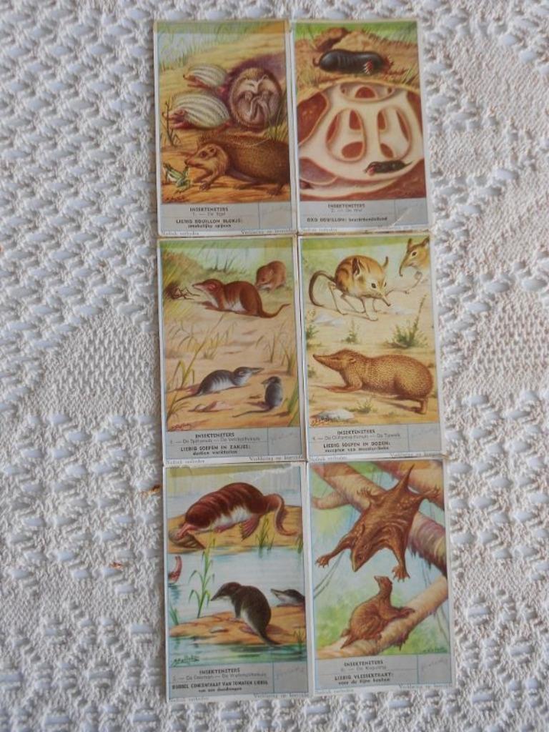 Chromos de Liebig : série de 6 chromos sur les insectivores, Enlèvement ou Envoi, Gravure, Utilisé, 1940 à 1960