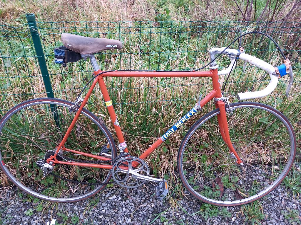 vintage racefiets molteni eddy merckx eyecatcher mancave, Fietsen en Brommers, Ophalen