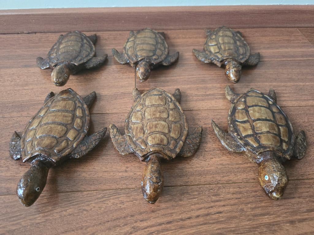 Handgesneden houten schildpad Kaapverdië Cabo Verde, Enlèvement ou Envoi