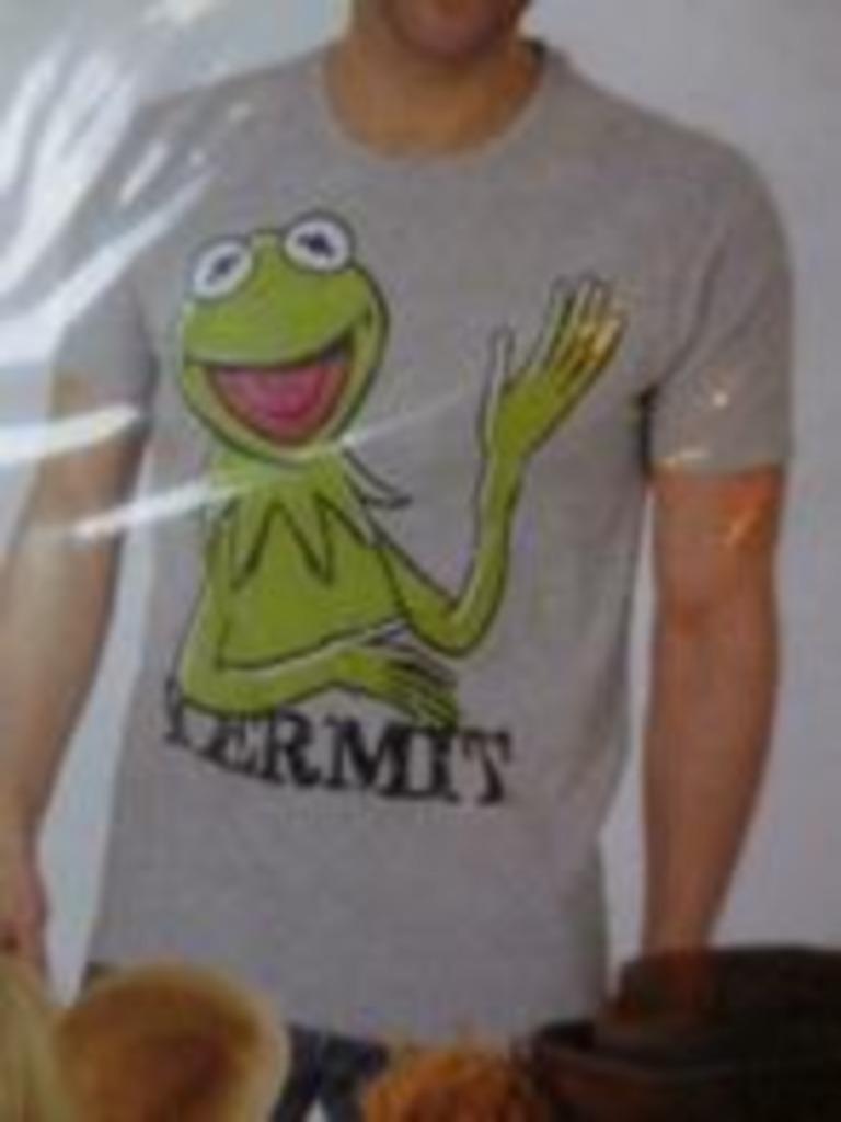 t-shirt the muppets large unisex nieuw in verpakking Kermit, Ophalen of Verzenden, Nieuw, Maat 52/54 (L), Grijs
