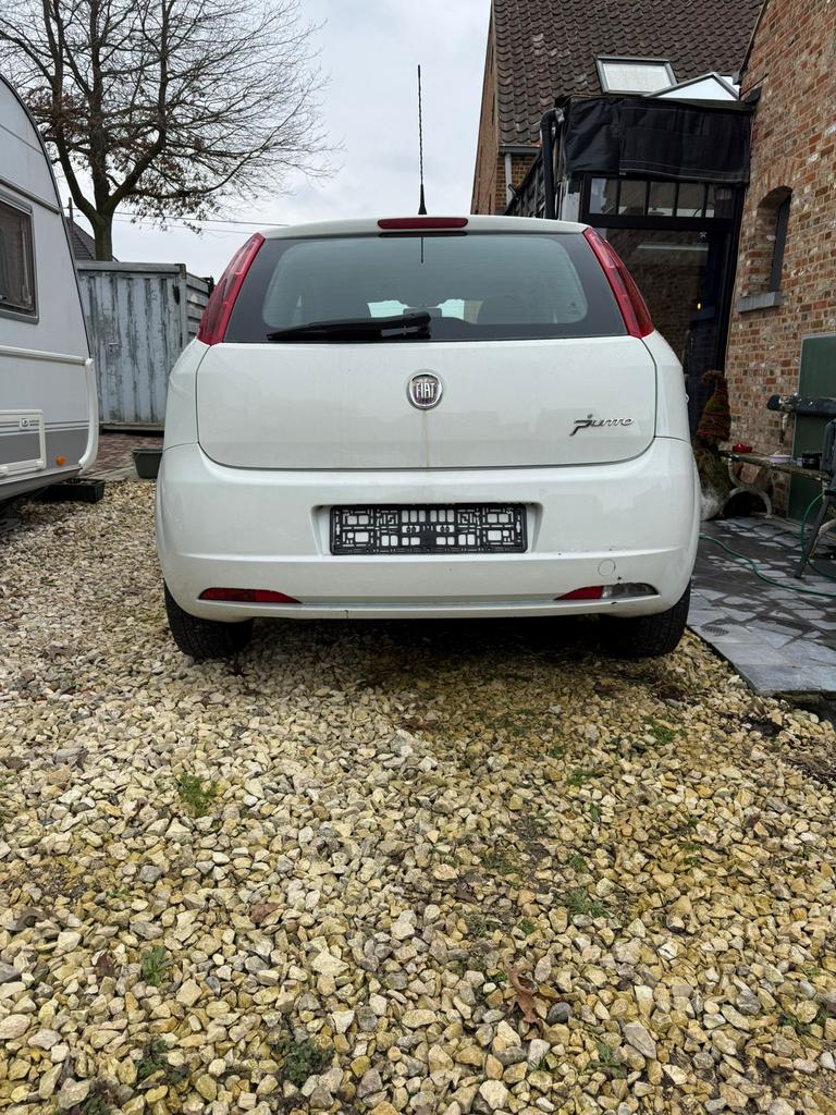 Fiat punto 1.2, Autos, 1242 cm³, Achat, Entreprise, Boîte manuelle