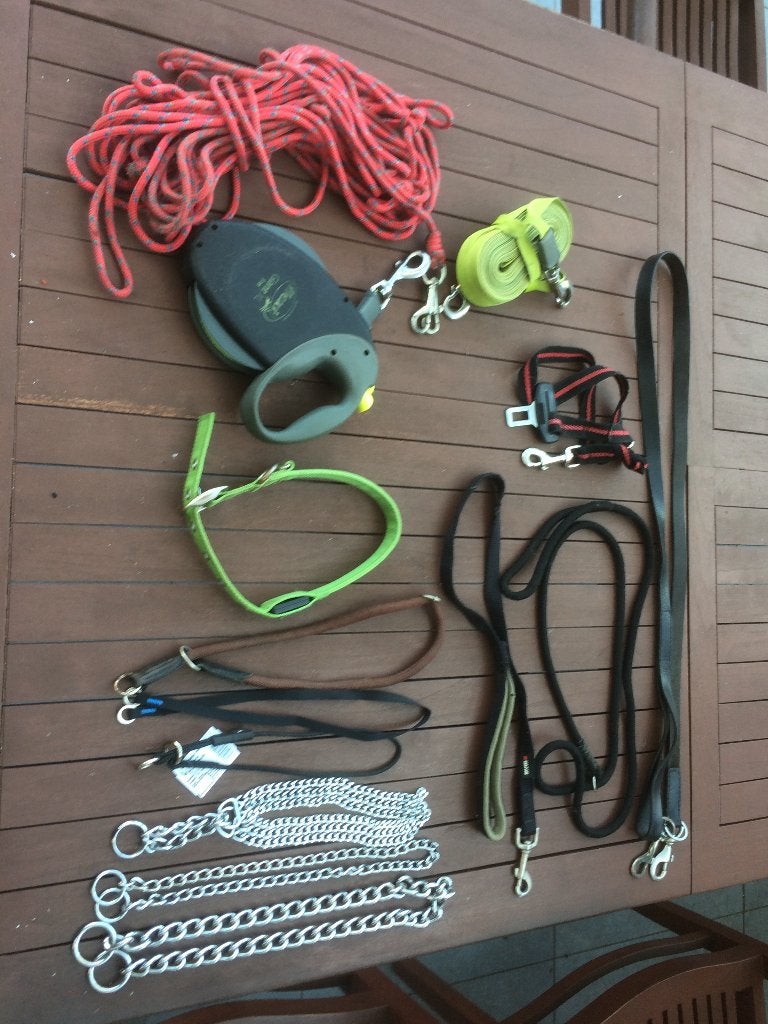 honden halsbanden leibanden oprolkoord FLEXI XL extra strong, Dieren en Toebehoren, Hondenriemen, Ophalen, Gebruikt, Hondenriem-accessoire