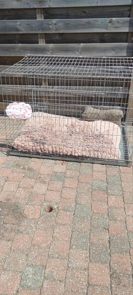 Hondenbench xl, Animaux & Accessoires, Animaux Autre, Mai, Sexe inconnu