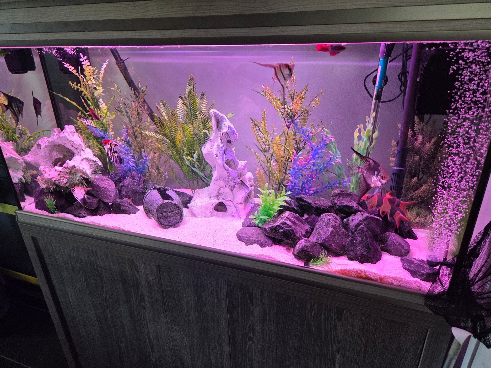 Aqualantis, Dieren en Toebehoren, Vissen | Aquaria en Toebehoren, Ophalen, Decoratie