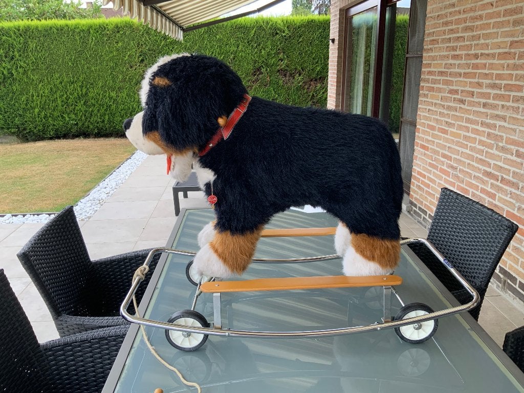 Speelgoedhond, Ophalen, Gebruikt