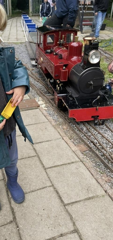Miniatuurtrein in de tuin, Ophalen, Gelijkstroom of Wisselstroom, Locomotief