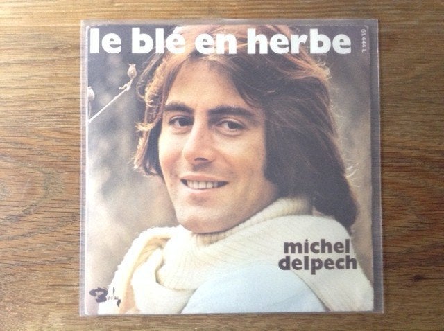 single michel delpech, 7 inch, Ophalen of Verzenden, Pop, Beschermende buitenhoes