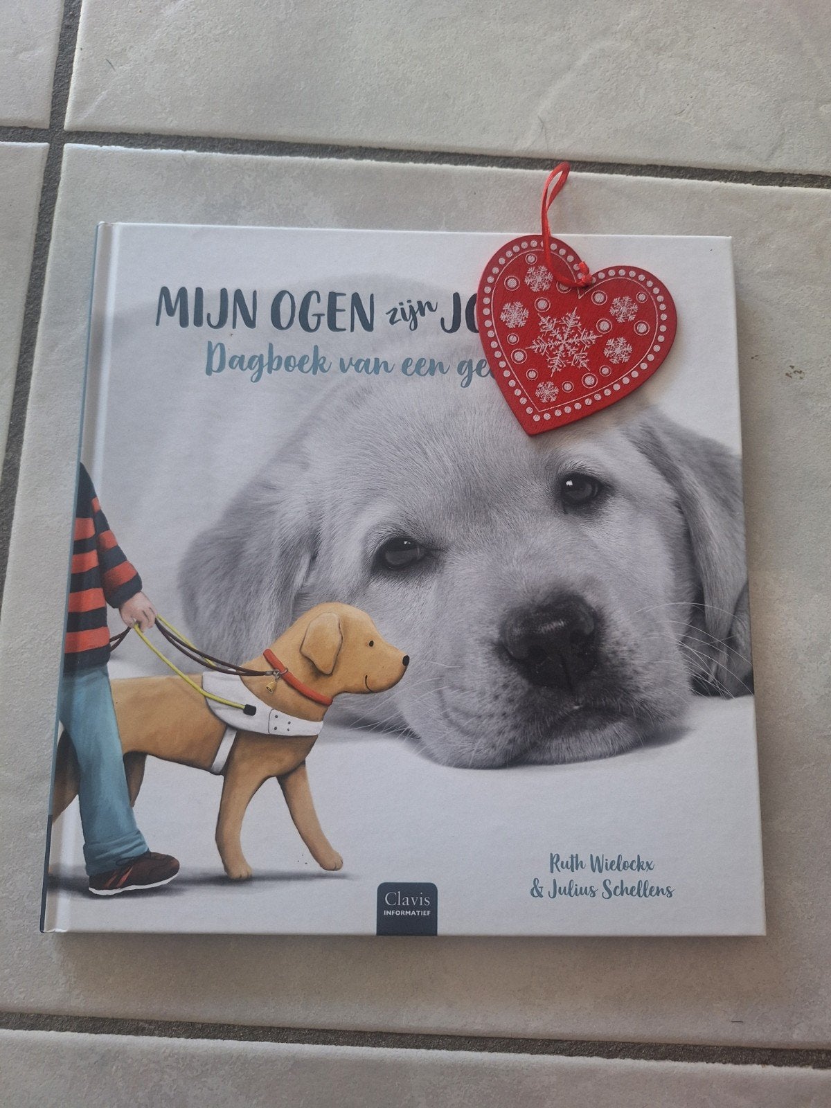 Mijn ogen zijn jouw ogen - dagboek van een geleidehond, Ophalen of Verzenden, Julius Schellens; Ruth Wielockx, Non-fictie