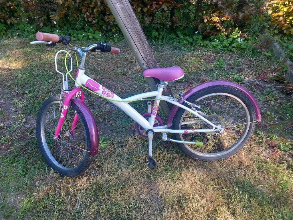 20-inch meisjesfiets, onderhoud vereist, Ophalen, 20 inch