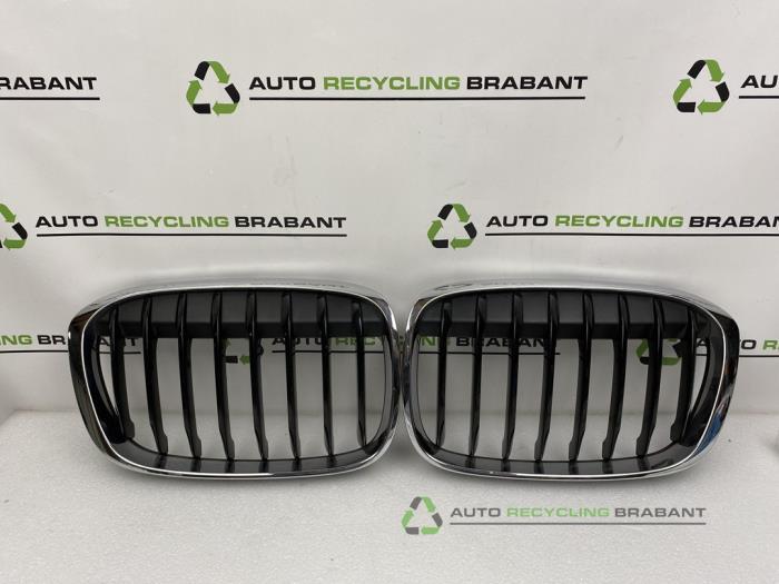 Grille van een BMW X1, Gebruikt, -, -, Ophalen of Verzenden