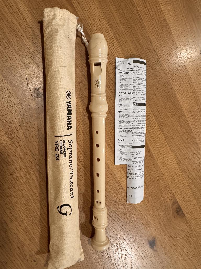 Blokfluit, Musique & Instruments, Instruments à vent | Flûtes à bec, Enlèvement, Neuf, Autres types, Avec valise, étui ou housse