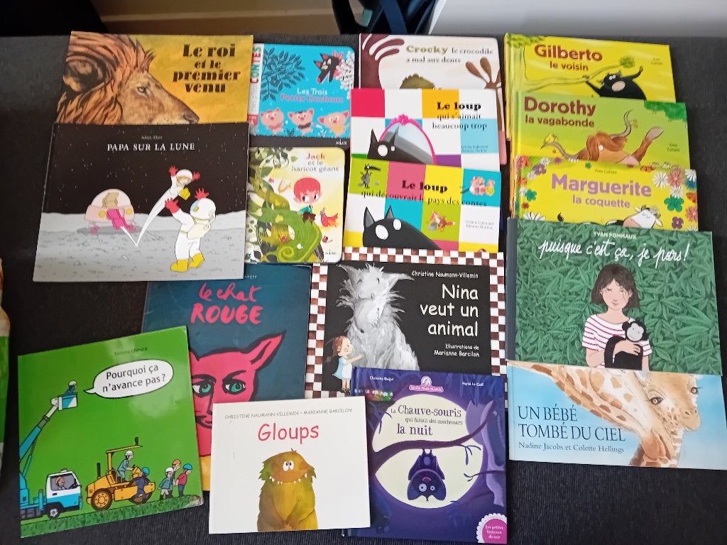 Livres jeunesse à saisir !, Enlèvement, Comme neuf
