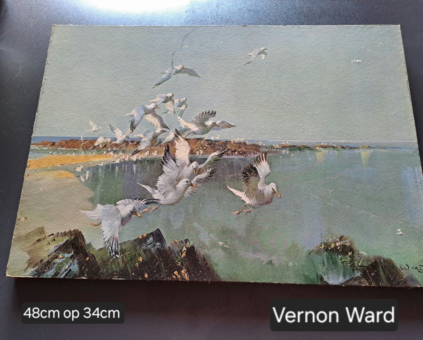 Vernon Ward, Antiek en Kunst, Ophalen, Foto