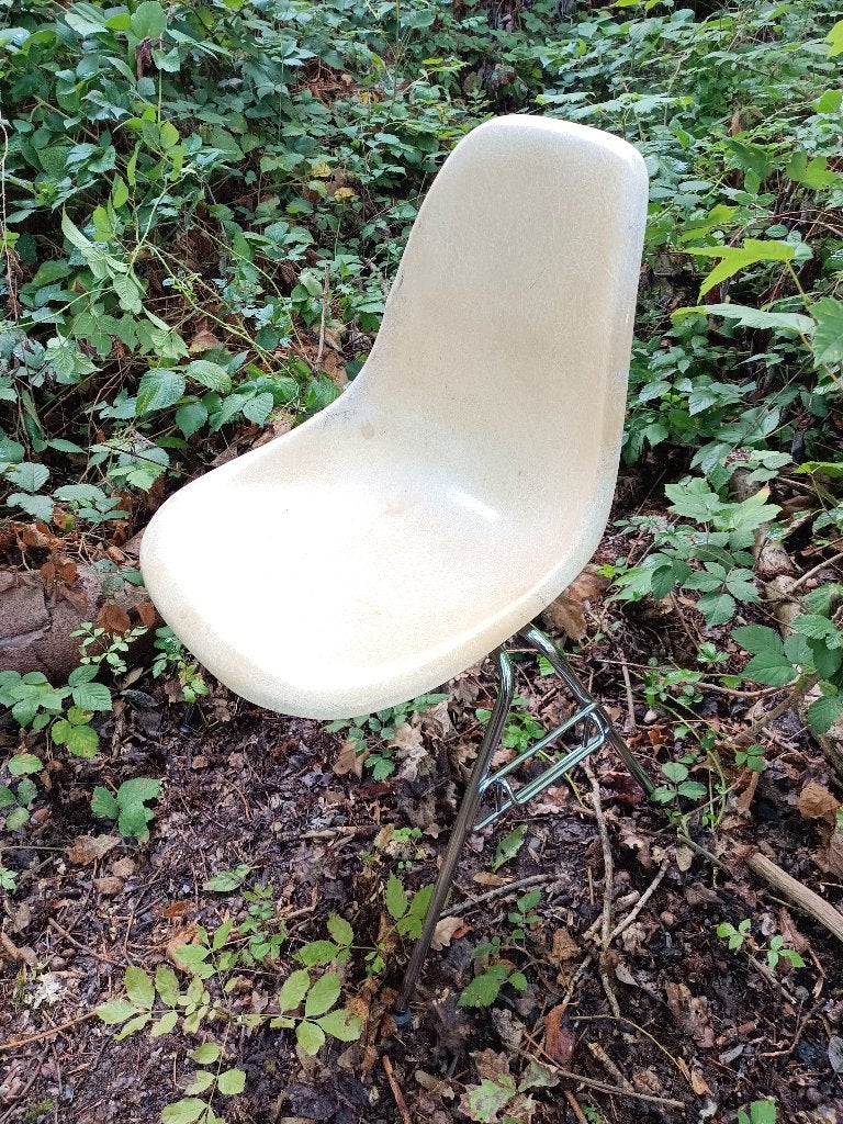 Chaises DSS - Charles & Ray Eames - Fibre de verre- 1960, Enlèvement