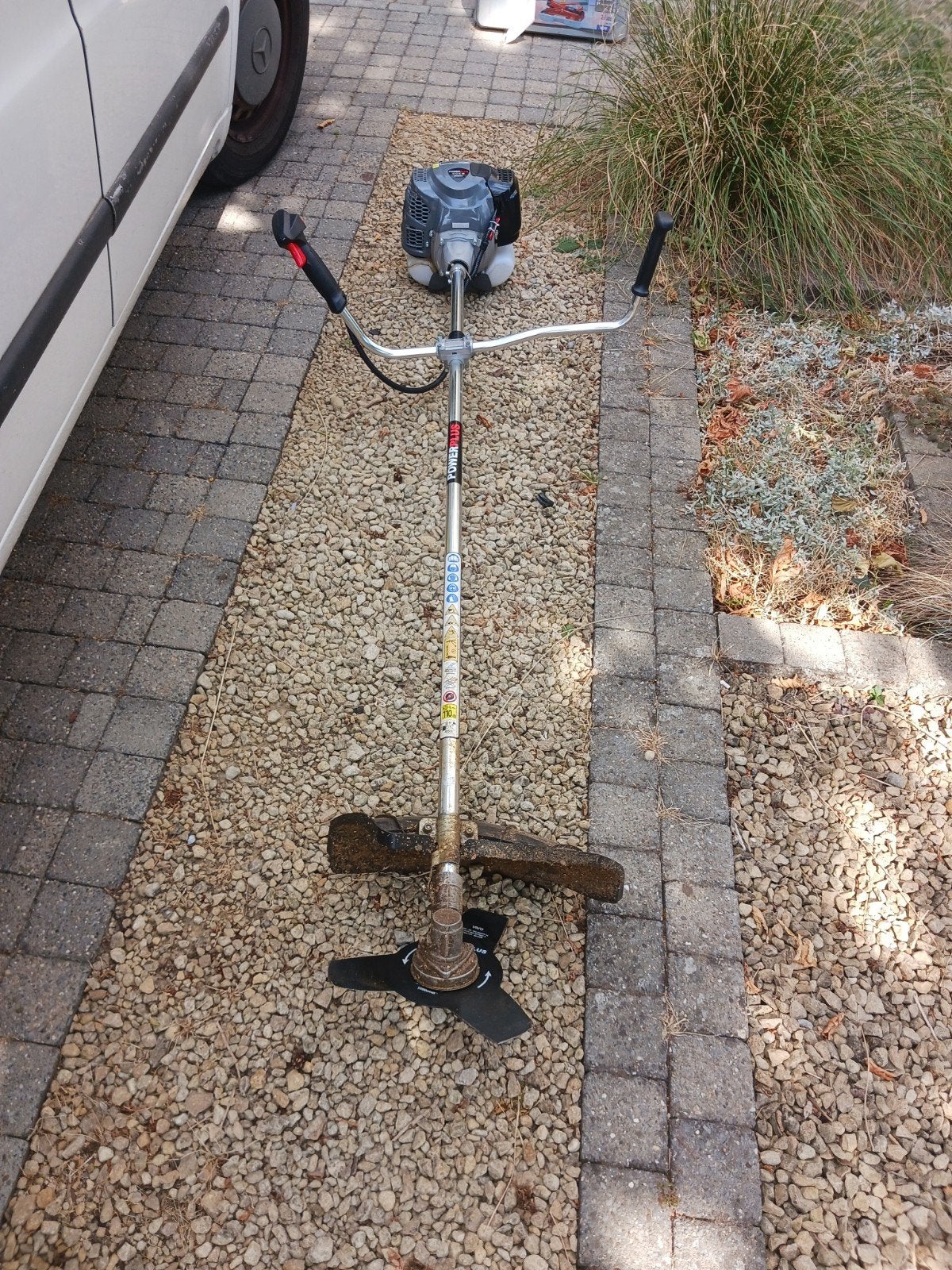 bosmaaier, Tuin en Terras, Ophalen
