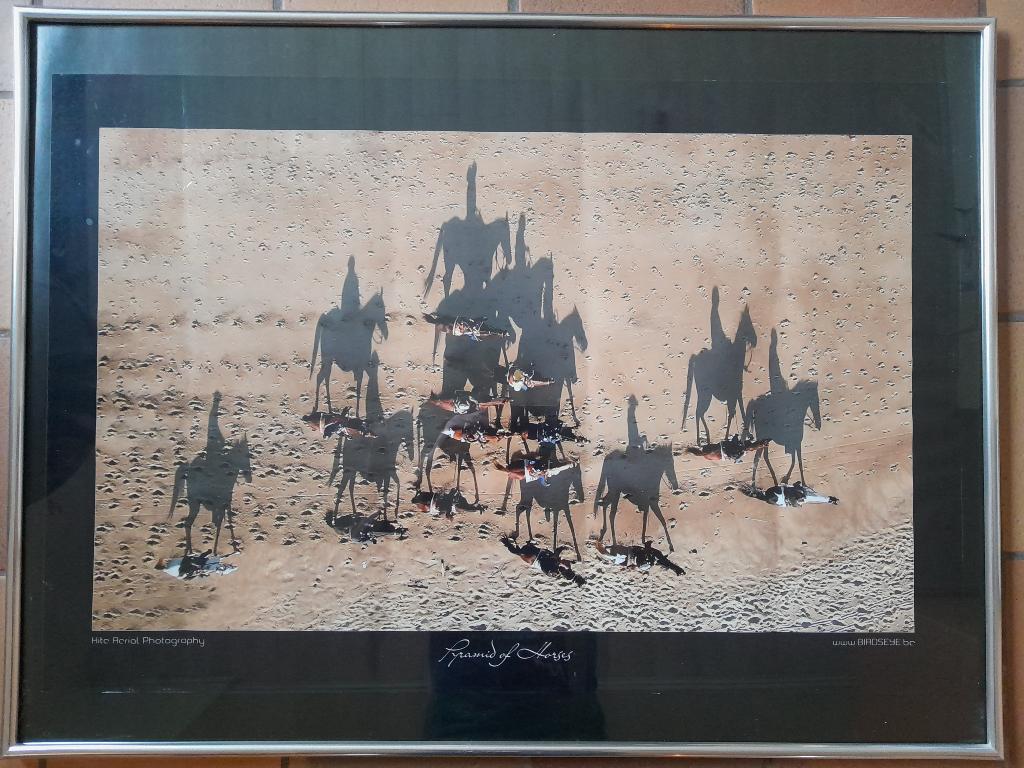 Poster de la Pyramide des chevaux dans un cadre magnifique., Maison & Meubles, Enlèvement, Comme neuf, 50 à 75 cm, 50 à 75 cm