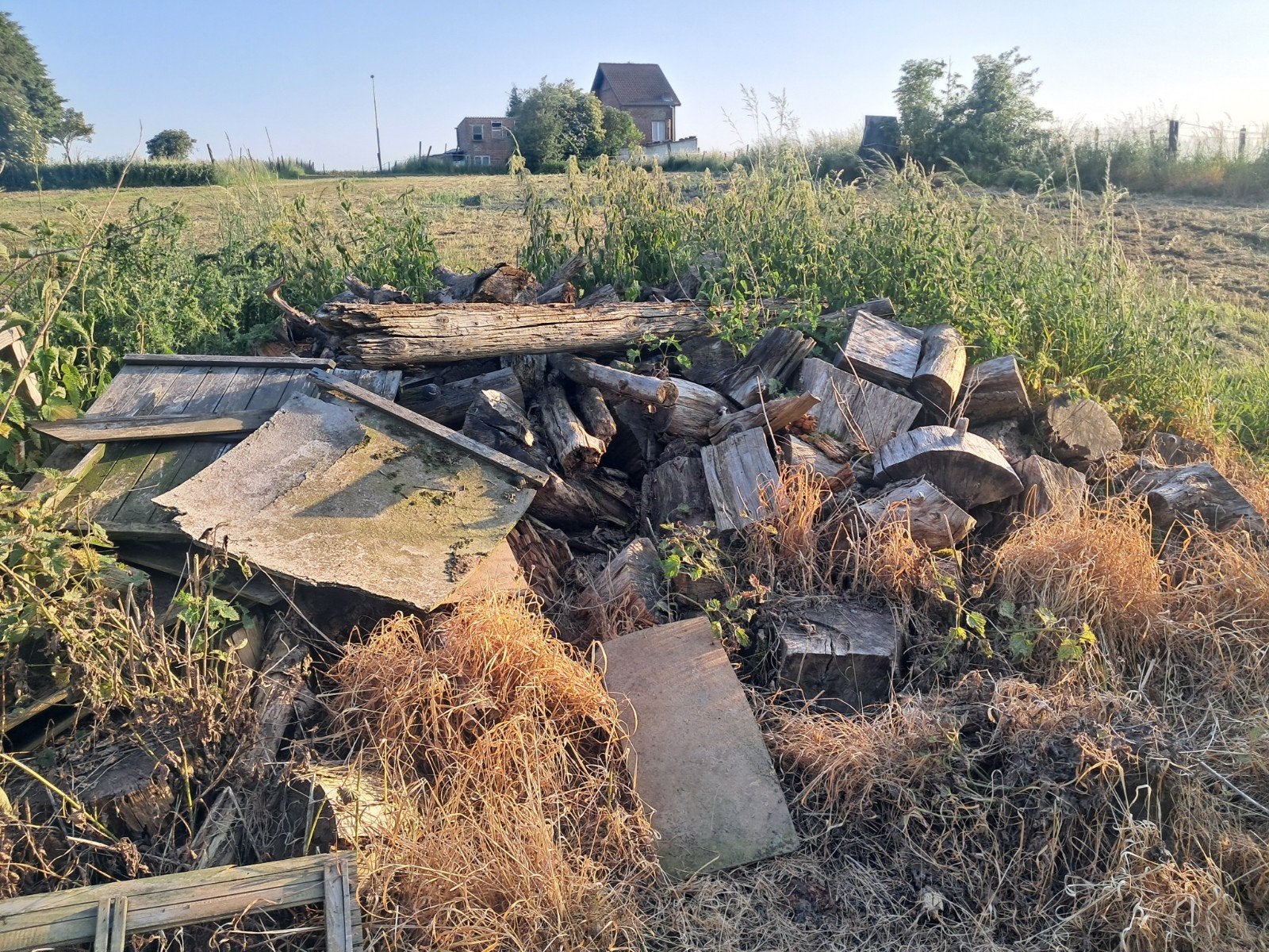 Gratis brandhout, Tuin en Terras, Ophalen