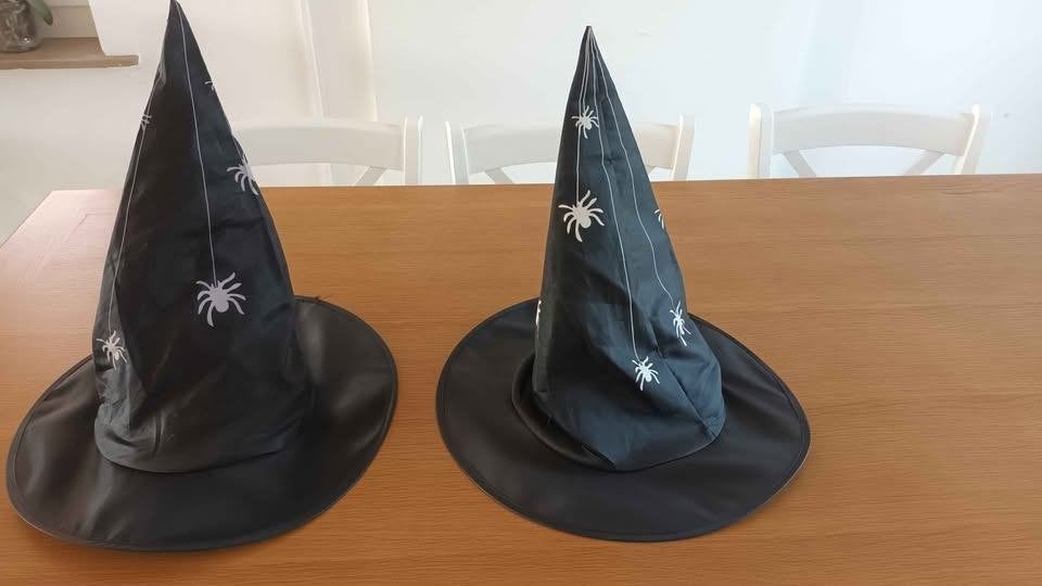Chapeaux sorcier - sorcière taille unique, Ophalen