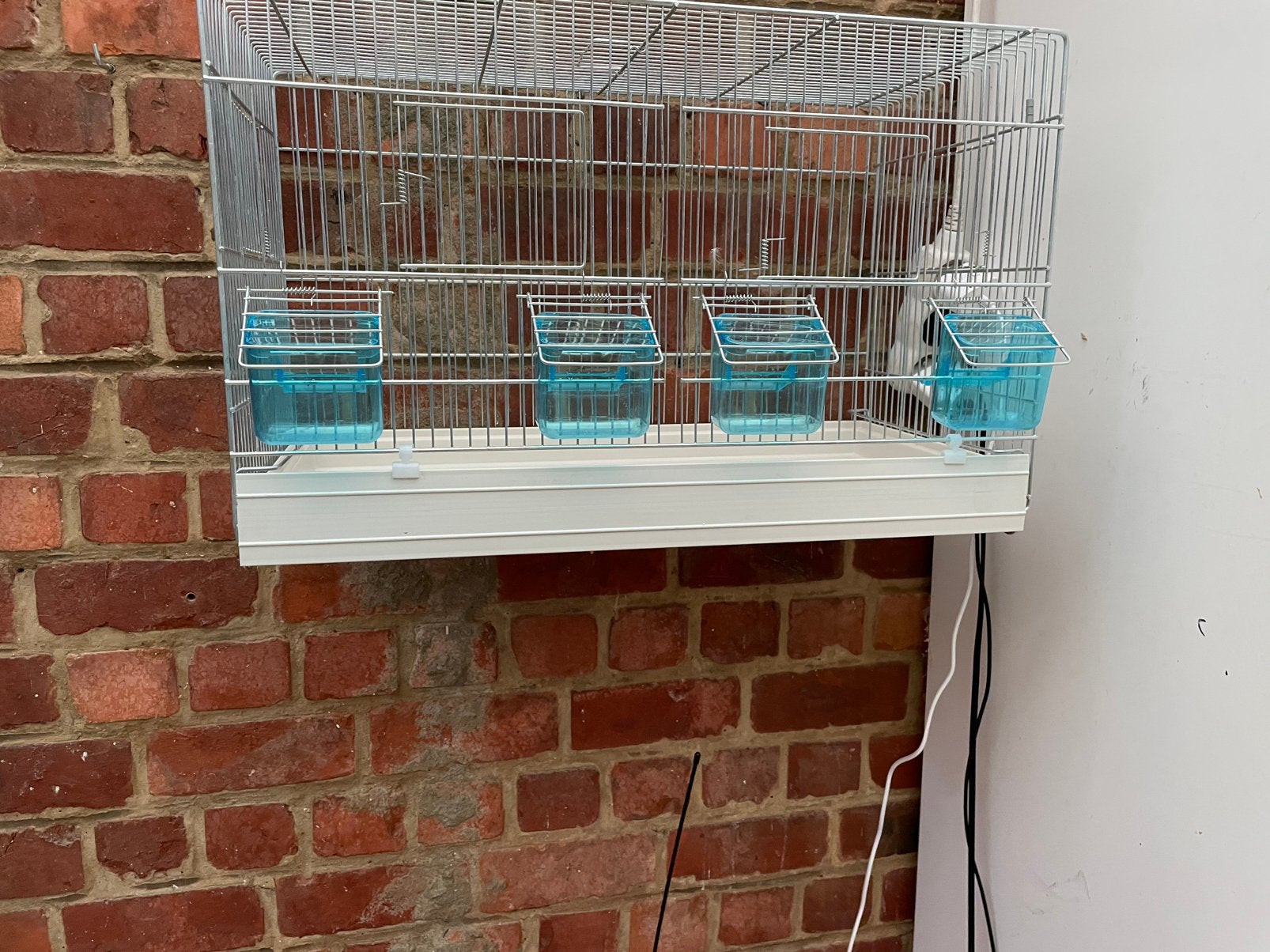 Te koop kweekkooi met alles er bij nog nieuw, Ophalen, Nieuw, Aluminium, Broedkooi of Kweekkooi