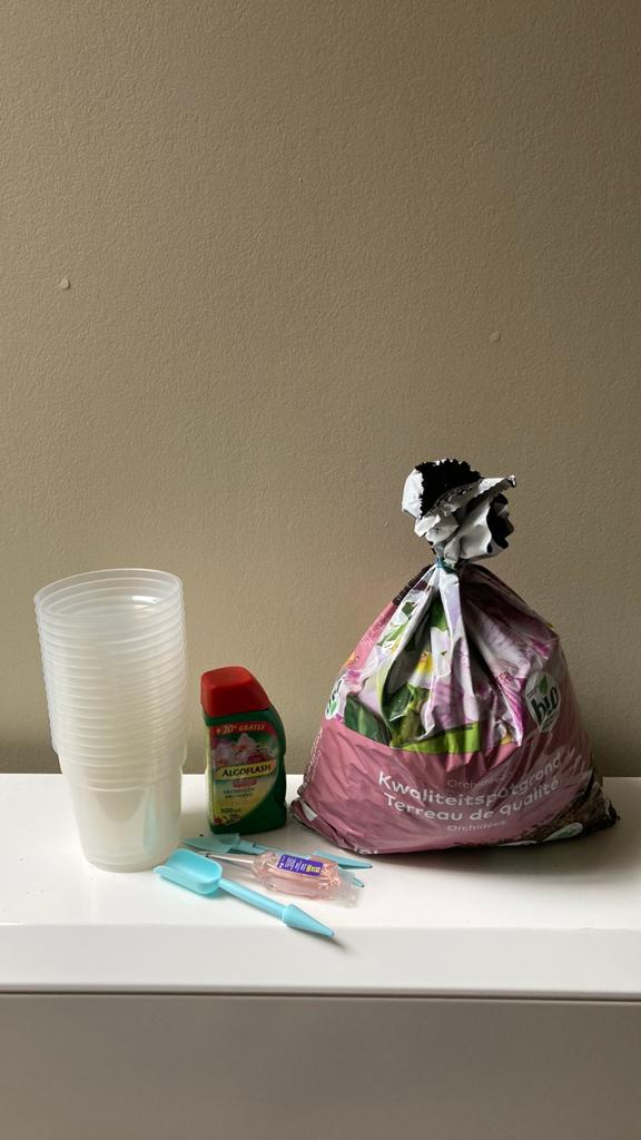 Matériau pour orchidées, Moins de 25 cm, Rond, Enlèvement, Intérieur
