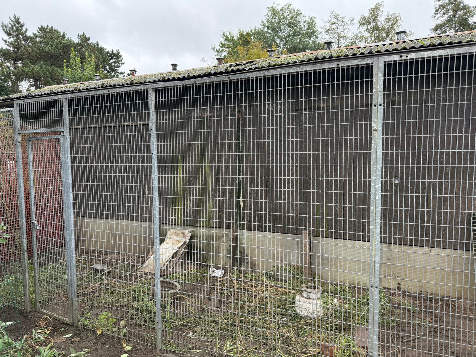 Gegalvaniseerde panelen voor pluimvee voliere, Dieren en Toebehoren, Ophalen, Gebruikt, Overige typen