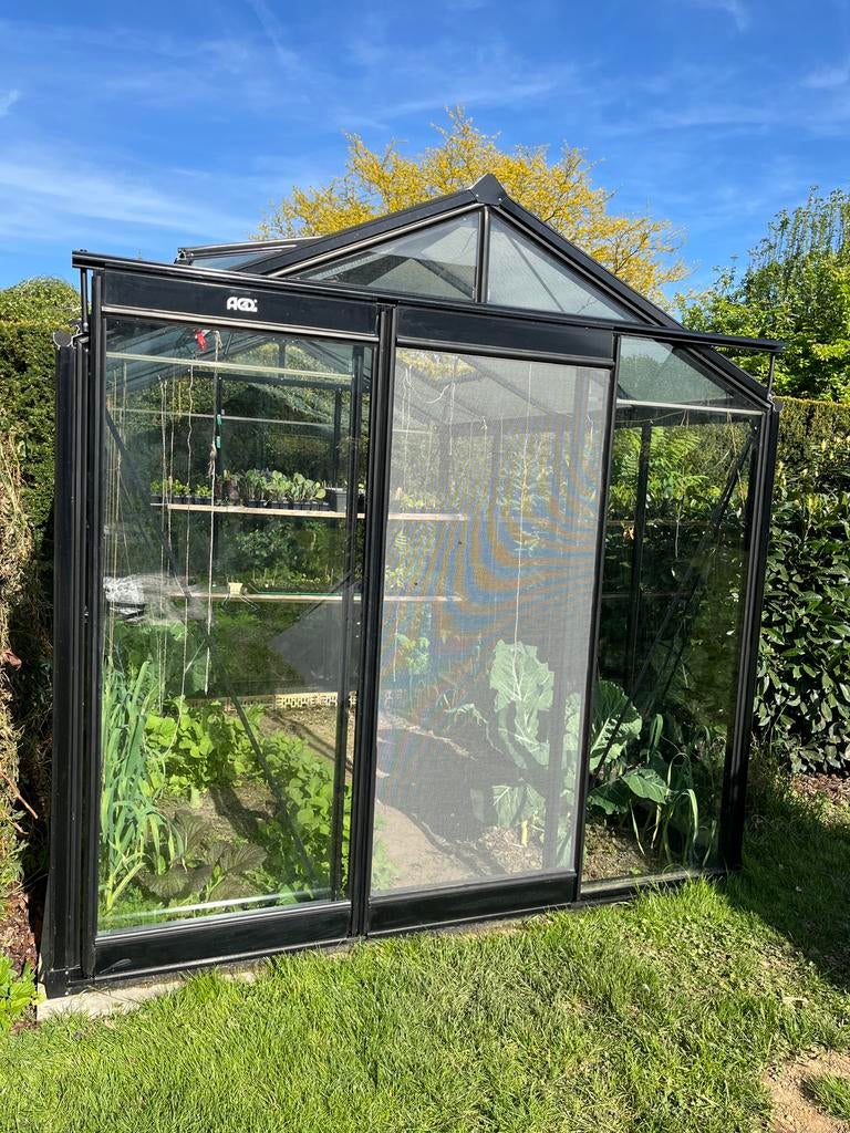 Acd serre r204 blackline, Tuin en Terras, Ophalen, Gebruikt, Kweekkas, Glas