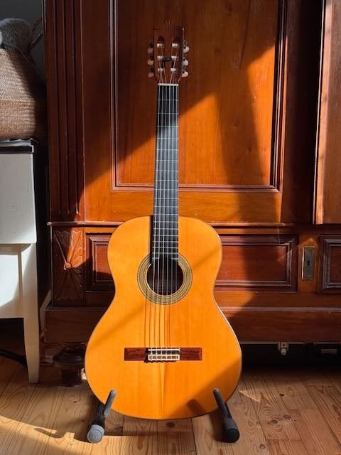 Alhambra 10c Abeto, Muziek en Instrumenten, Ophalen of Verzenden, Gebruikt, Klassieke of Spaanse gitaar, Met koffer