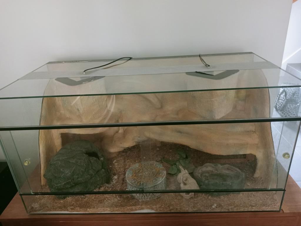 Terrarium met accessoires, Dieren en Toebehoren, Ophalen