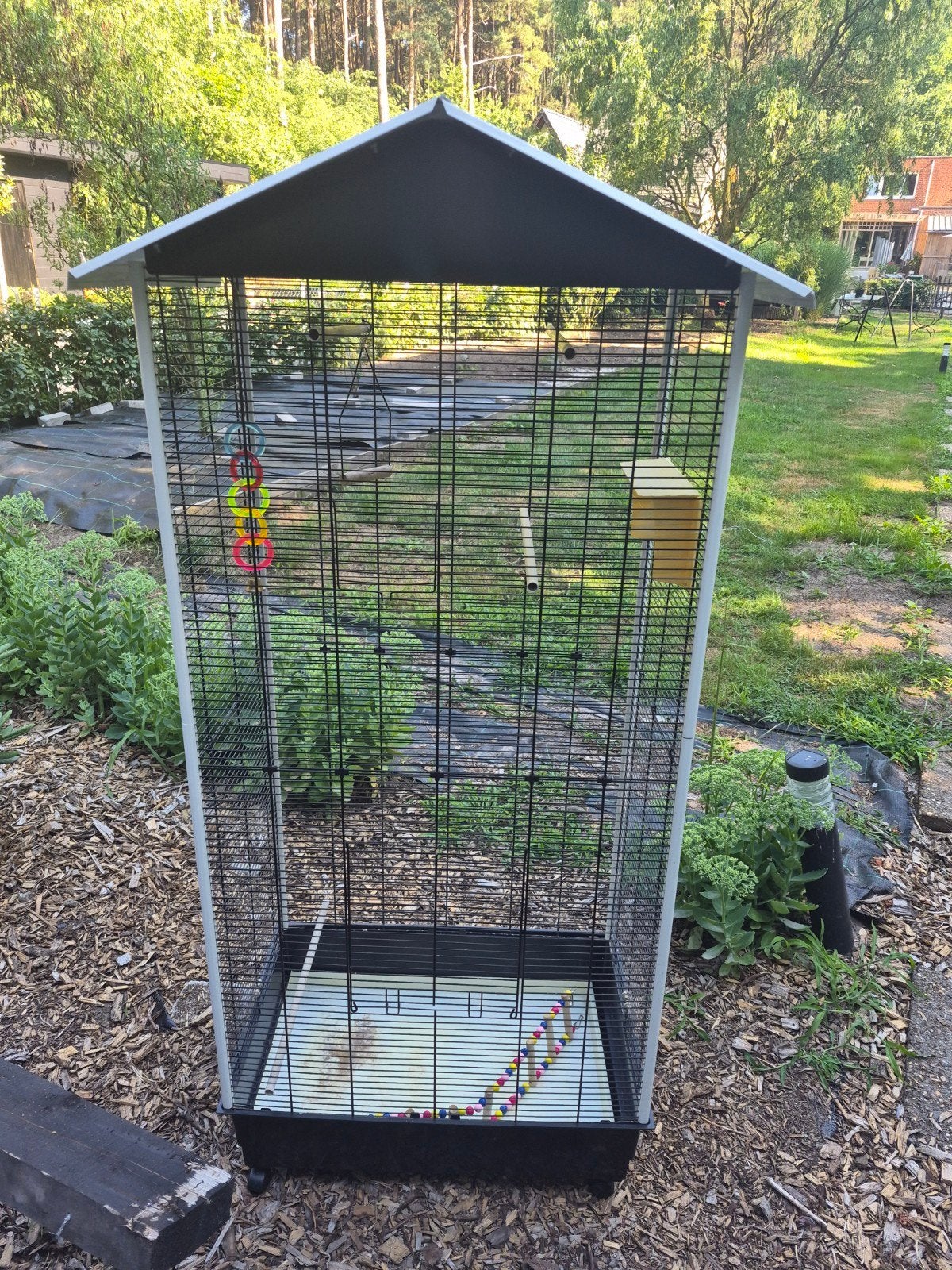 Volière, Animaux & Accessoires, Oiseaux | Cages & Volières, Volière, Enlèvement