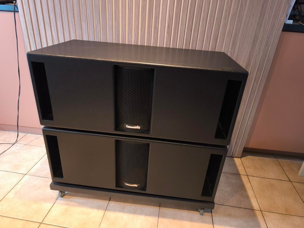 The Community V2-212S Subwoofer is a low-profile 2x12-inch,, Muziek en Instrumenten, Overige Muziek en Instrumenten, Ophalen of Verzenden